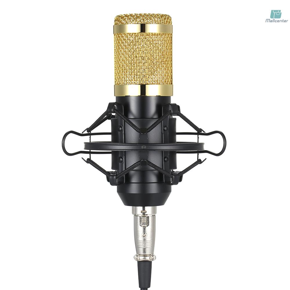 BM800 Condenser Microphone Lit Pro Audio Studio Recording &amp; Brocasting Adjustable Mic Suspension Scissor Arm Pop Filter