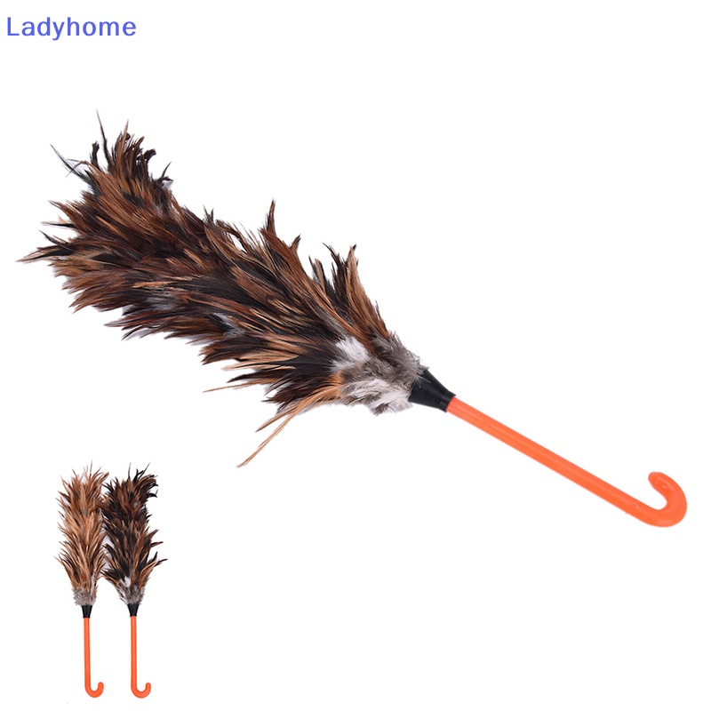 Chổi Lông Gà Quét Bụi 45cm Cán Nhựa