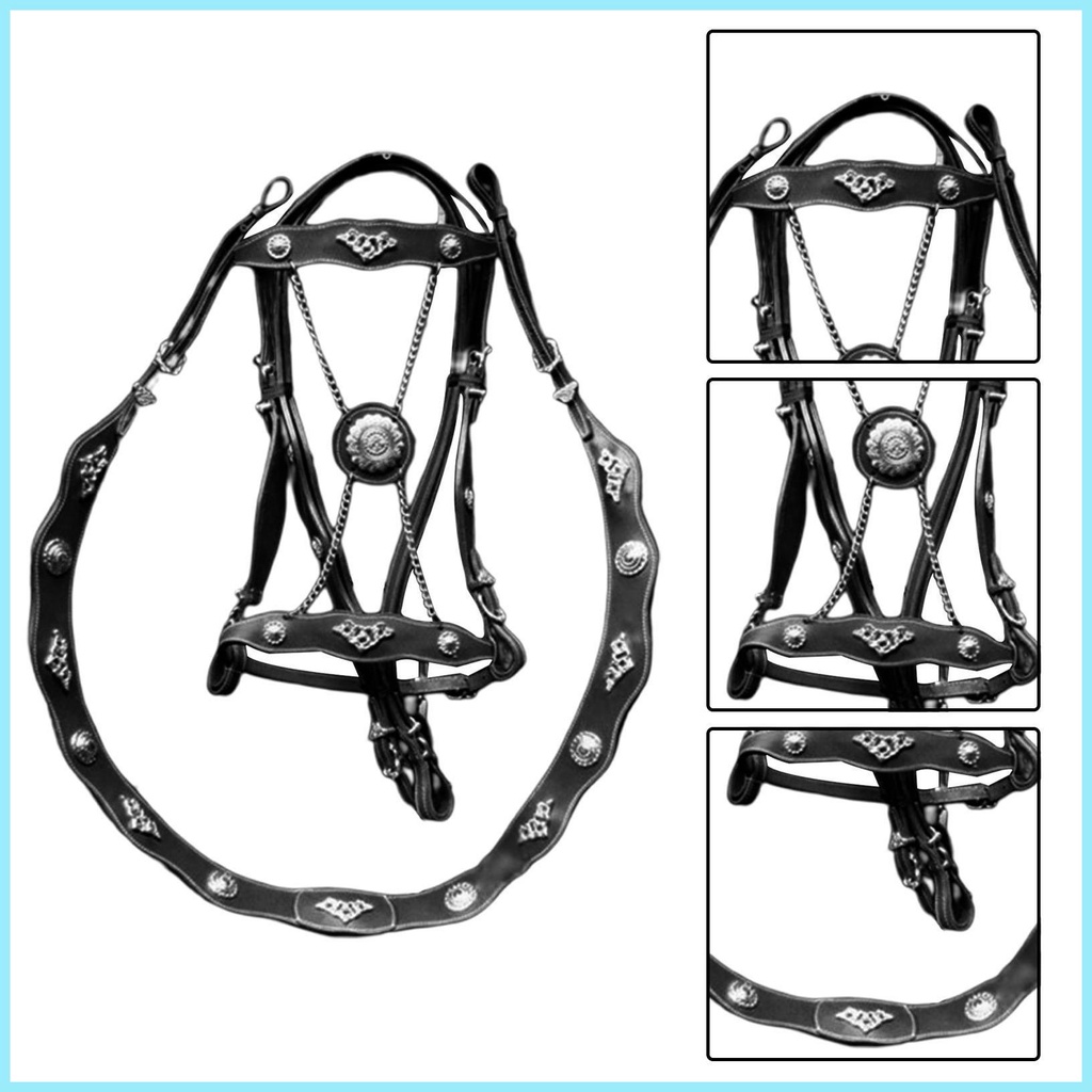Dây Buộc Ngựa Và Dây Dẫn Bằng Da PU Cho Ngựa Unfettered Thiết Kế Tiện Dụng Thoải Mái