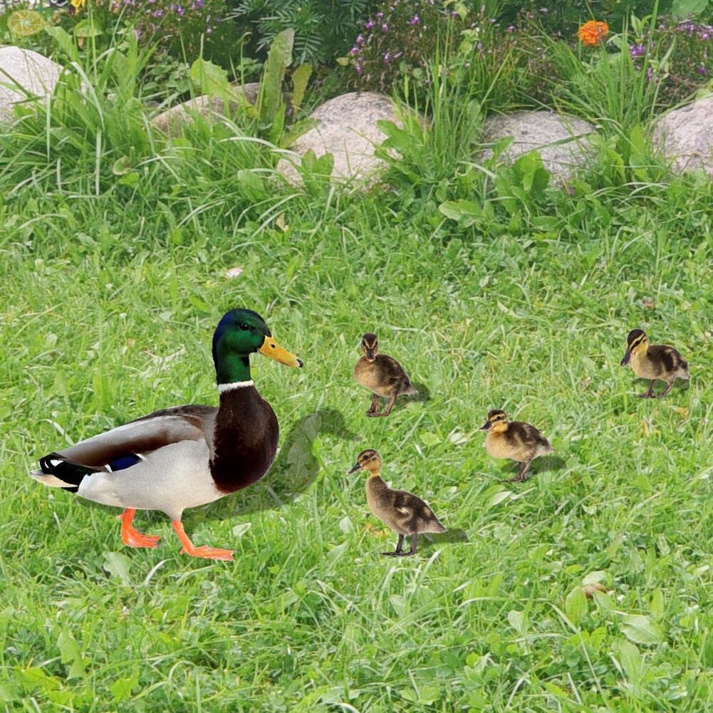 【VARSTR】Wear Resistant Acrylic Duck Stake – Fine Workmanship for Long Lasting Outdoor Decor