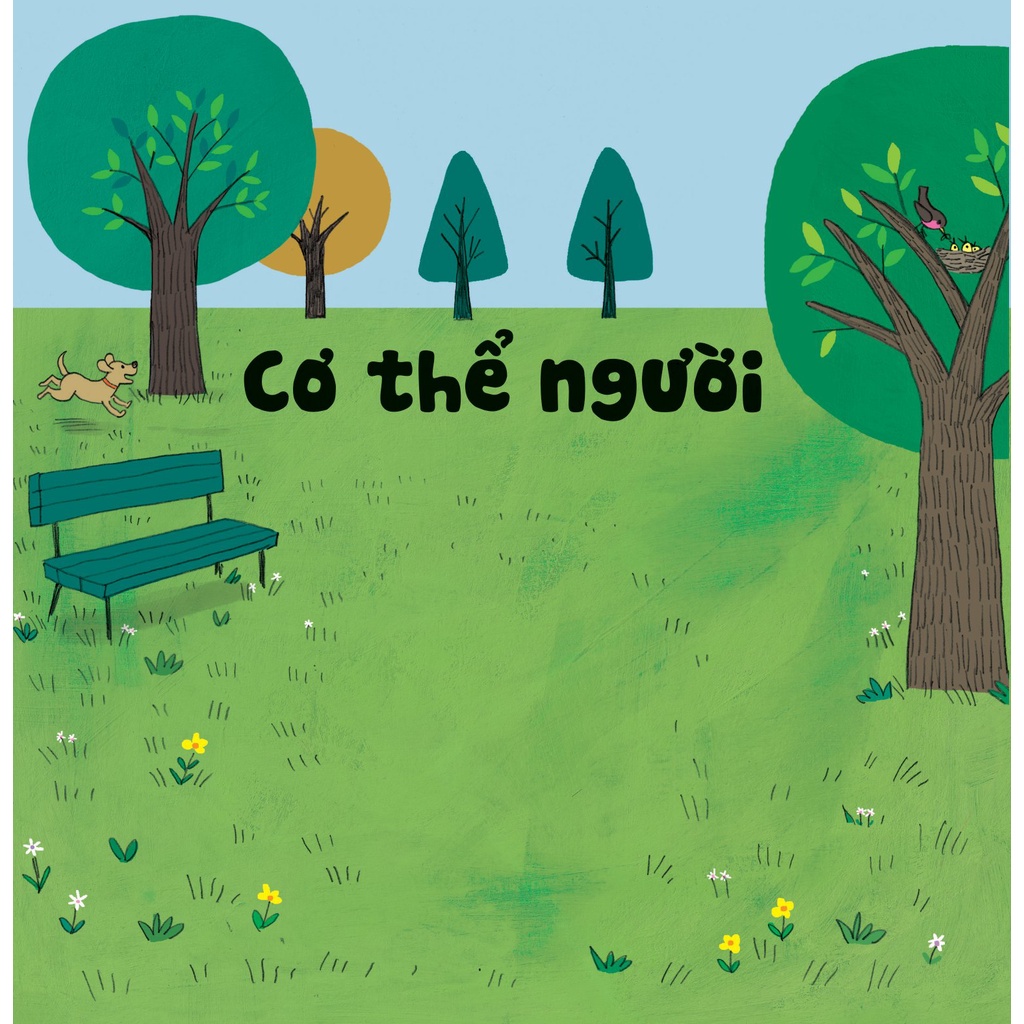 Sách - Cuốn Sách Đa Tương Tác Đầu Tiên Của Tớ Về - Cơ Thể Người (Dành Cho Độ Tuổi 3-9) - DTI