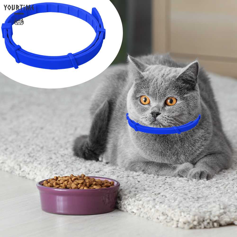 Vòng Cổ Silicone ChốNg ThấM NướC Cho Thú Cưng