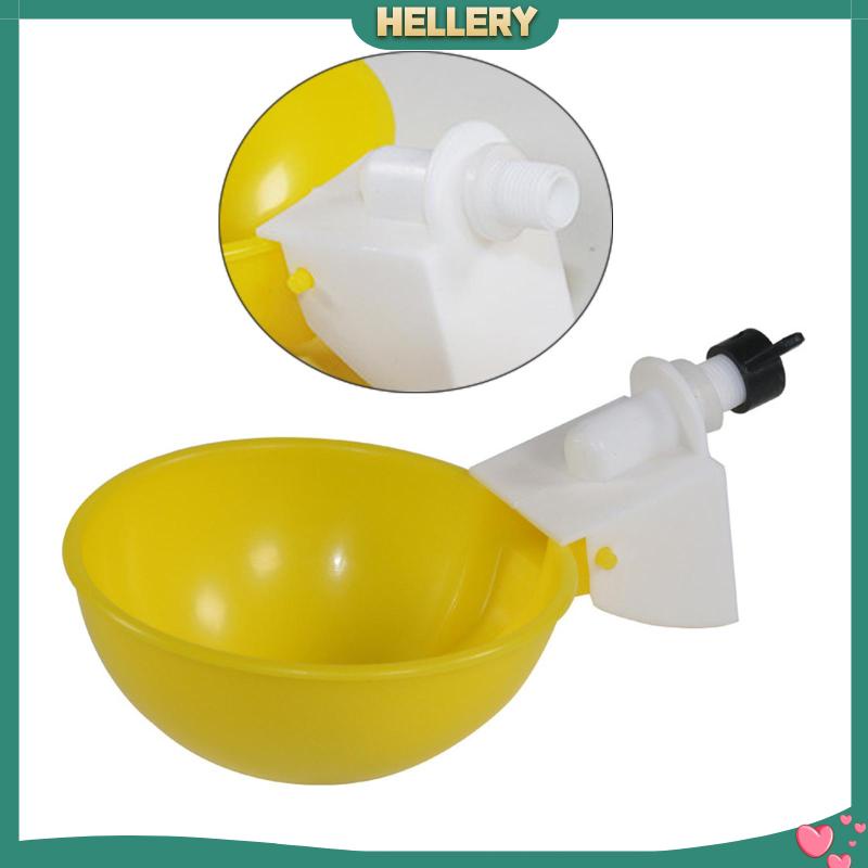 Set 6 Cốc Uống Nước Tự Động Cho Thỏ / Vịt / Chim Bồ Câu