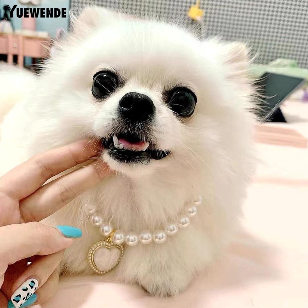 Vòng Cổ YQ.E Bề Mặt Mịn Màng Chống Phai Màu Có Thể Điều Chỉnh Trang Trí Cho Thú Cưng