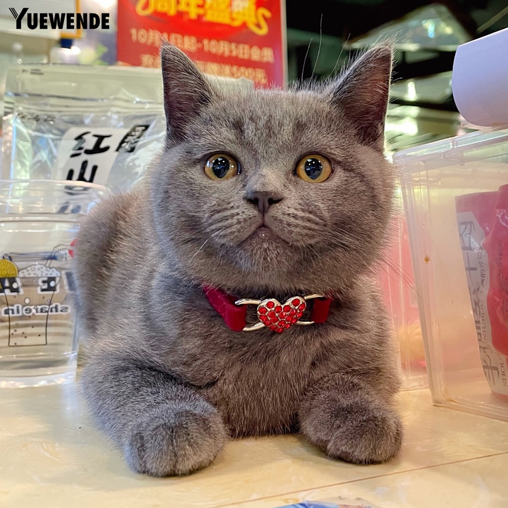 Vòng Cổ Nhiều Màu Sắc Thân Thiện Với Da Cho Thú Cưng