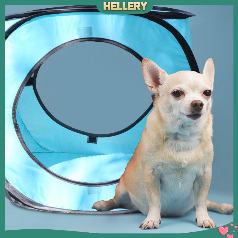 Lều Đường Hầm Gấp Gọn Vui Nhộn Cho Thú Cưng Nhỏ