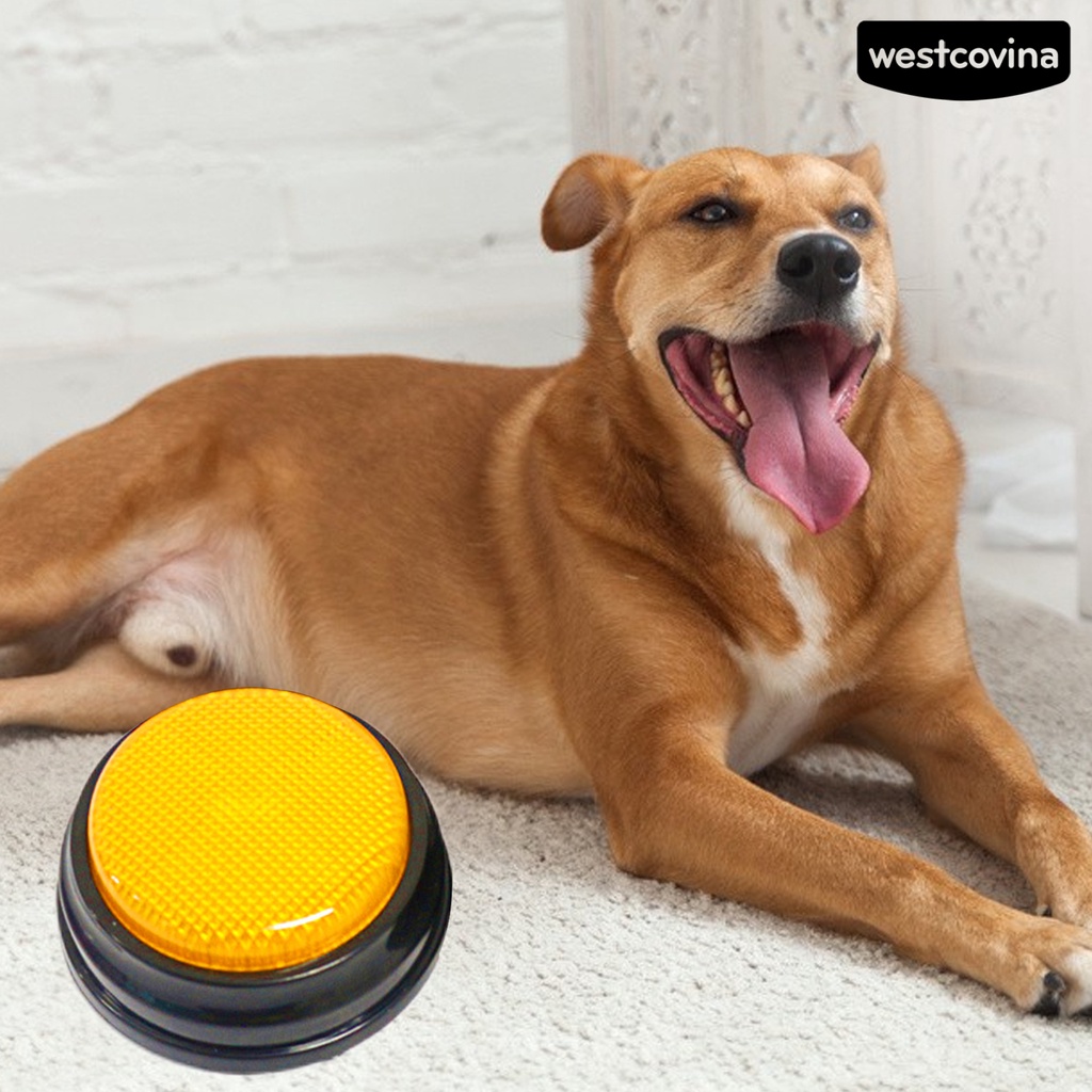 [COD]♞Nút Tròn Ghi Âm Giọng Nói Bằng ABS Đa Năng Tiện Dụng