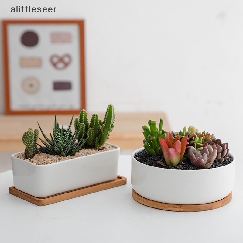 Chậu Hoa Sứ Trắng Hình Tròn / Chữ Nhật Thiết Kế Đơn Giản Tiện Dụng
