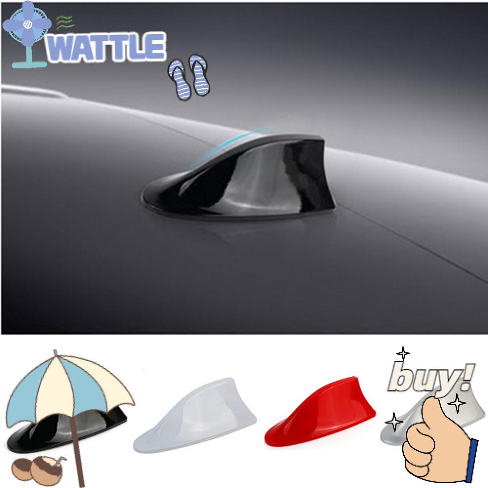 WTTLE Thiết Bị NhậN TíN HiệU Radio FM / AM HìNh Vây Cá MậP