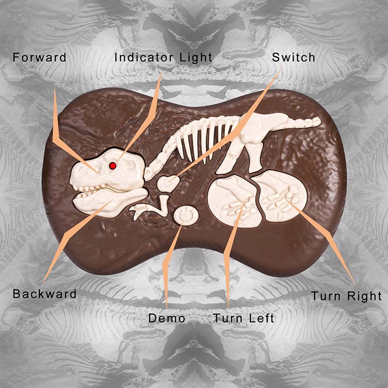 Mô Hình Khủng Long Đồ Chơi Điều Khiển Từ Xa Cho Bé