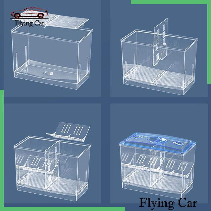 Hộp Nuôi Cá Dễ Sử Dụng Cho Văn Phòng Guppy Betta