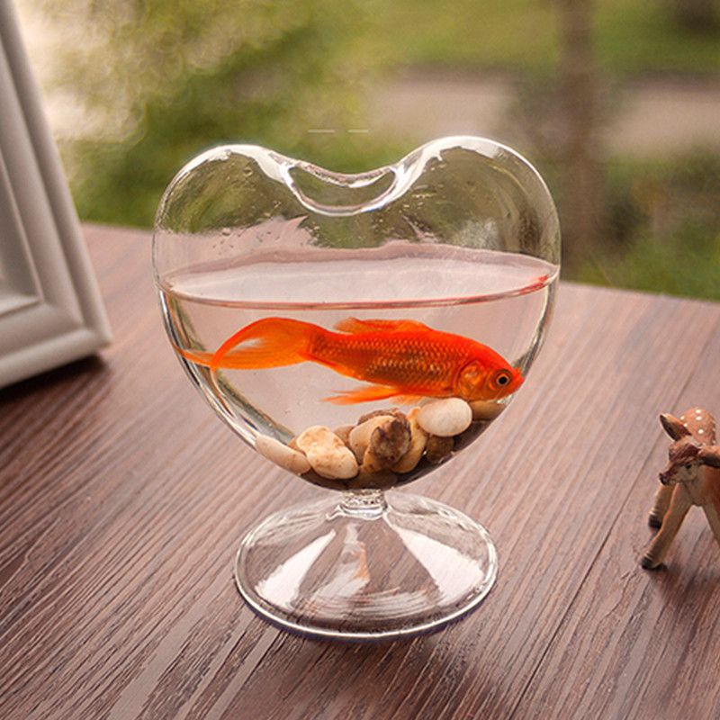 Kính Bình Hoa Bằng Thủy Tinh Thiết Kế Sáng Tạo Trang Trí Nhà Cửa/ Trí Sân Vườn