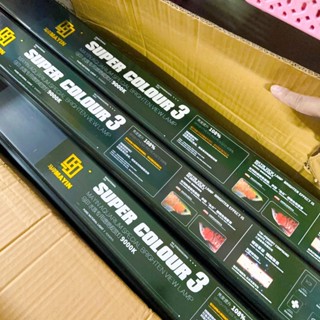 Đèn MAYIN SUPER COLOR Thế Hệ 3 Ánh Sáng Hồng Cho Huyết Long Và Nhiều Loại Cá Ánh Hồng Đủ Kích Thước