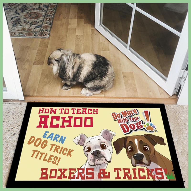 Thảm Chùi Chân Thấm Hút Tốt Nhanh Khô Họa Tiết Dễ Thương Trang Trí Nhà Cửa