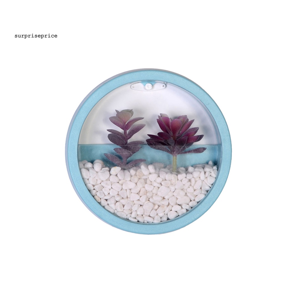 1 Bộ Chậu Trồng Cây Tròn Bằng ABS Trơn Dạng Treo Trang Trí Nhà Cửa / SPA