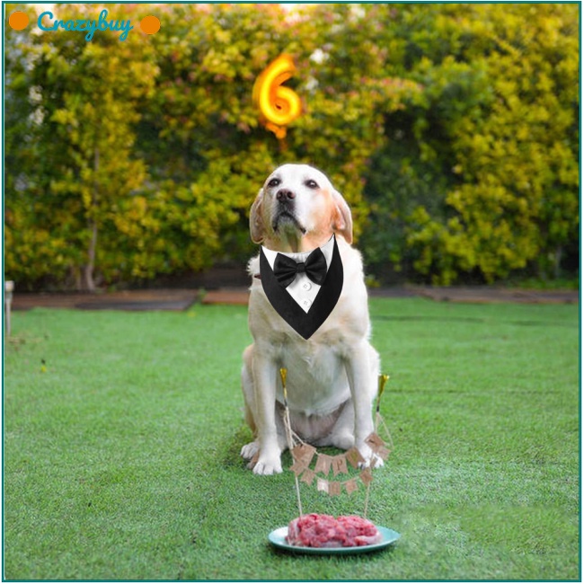 Cr Khăn Choàng Cổ Tam Giác Thắt Nơ Có Thể Điều Chỉnh Hóa Trang Sinh Nhật Cho Cún Cỡ Vừa Và