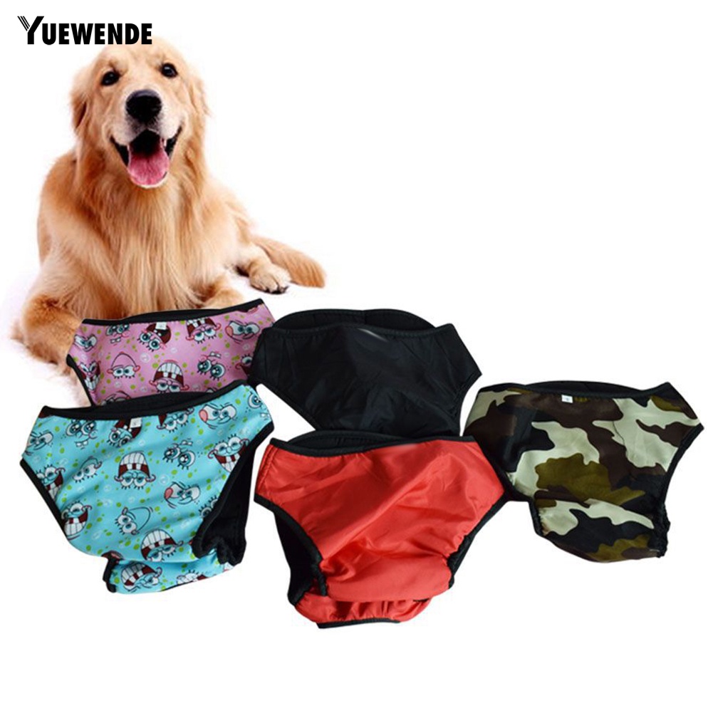 Tã Quần Sinh Lý In Họa Tiết Hoạt Hình Dễ Thương Giặt Được Tiện Dụng Cho Nữ