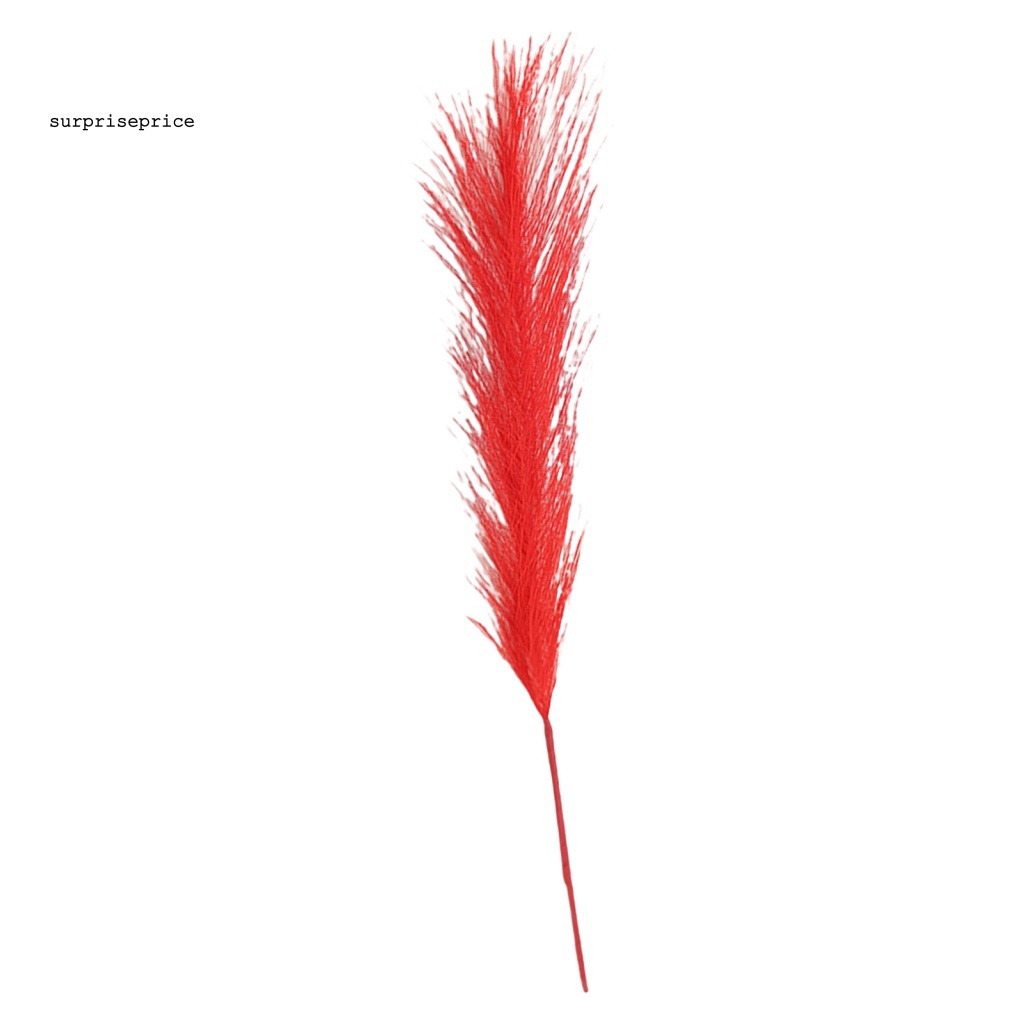 Cỏ Pampas Giả Nhiều Màu Dùng Trang Trí Tiệc Cưới / SPA