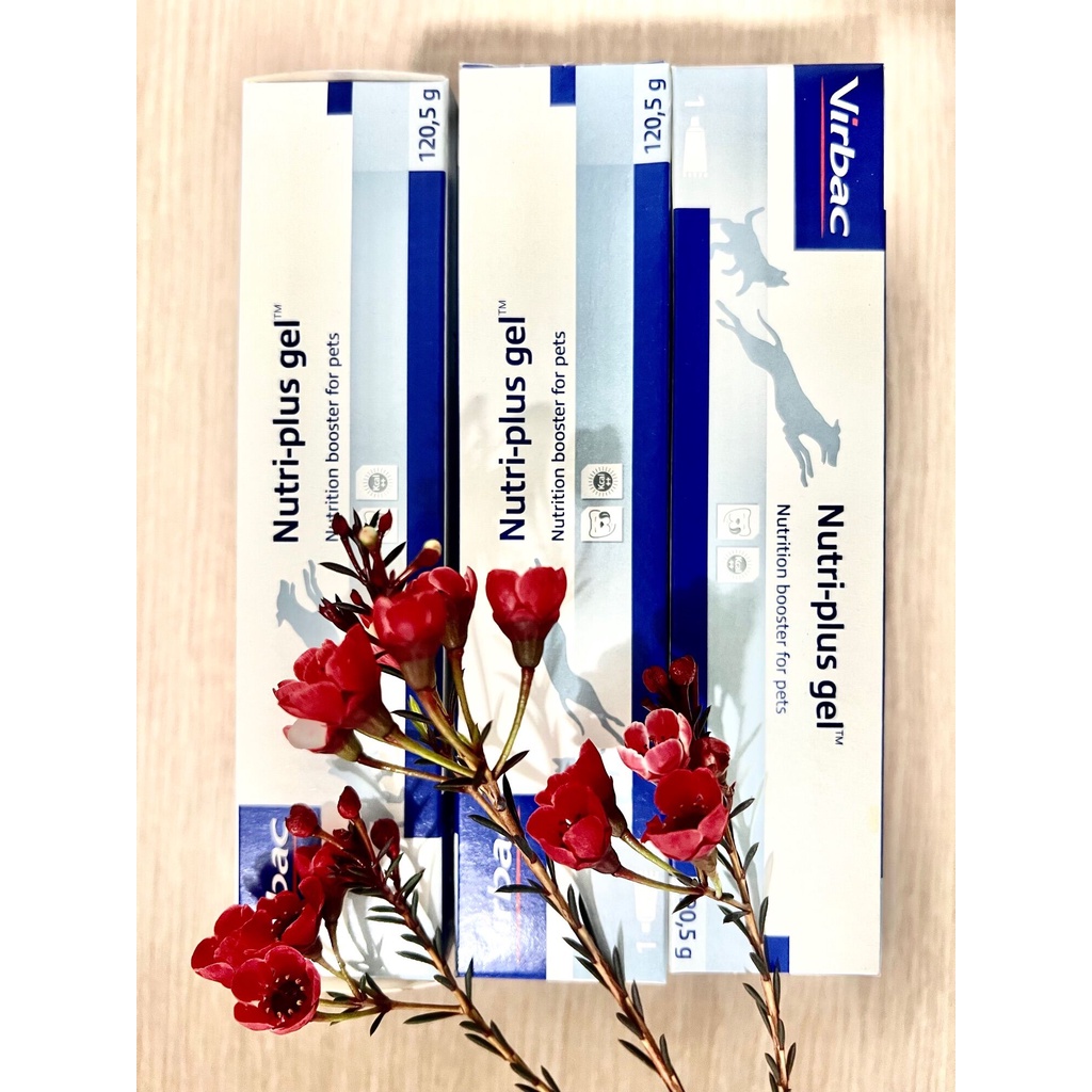 1 Tuýp Nutri plus-Gel dinh dưỡng cao cấp dành cho chó mèo