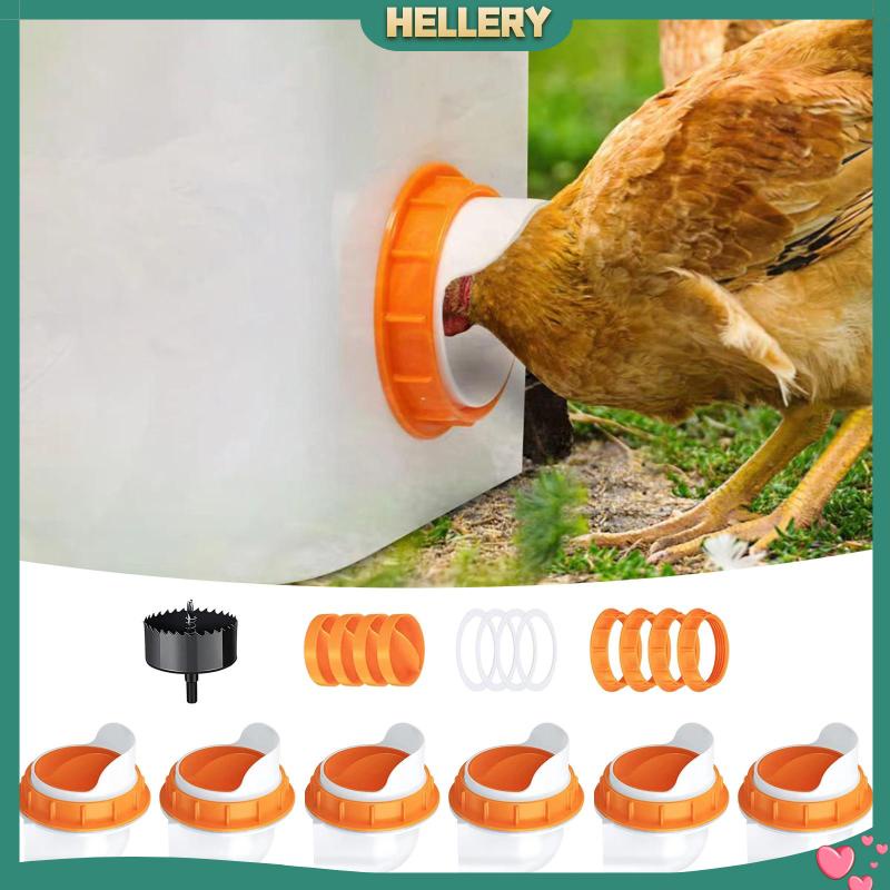 Dụng Cụ Cho Gà Ăn Tự Động Dễ Lắp Đặt Đa Năng Chống Thời Tiết