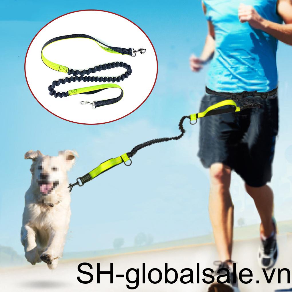 Dây Dắt Thú Cưng Đi Dạo Co Dãn Chống Mài Mòn Tùy Chỉnh Kèm Dây Đai Phản Quang Tiện Dụng