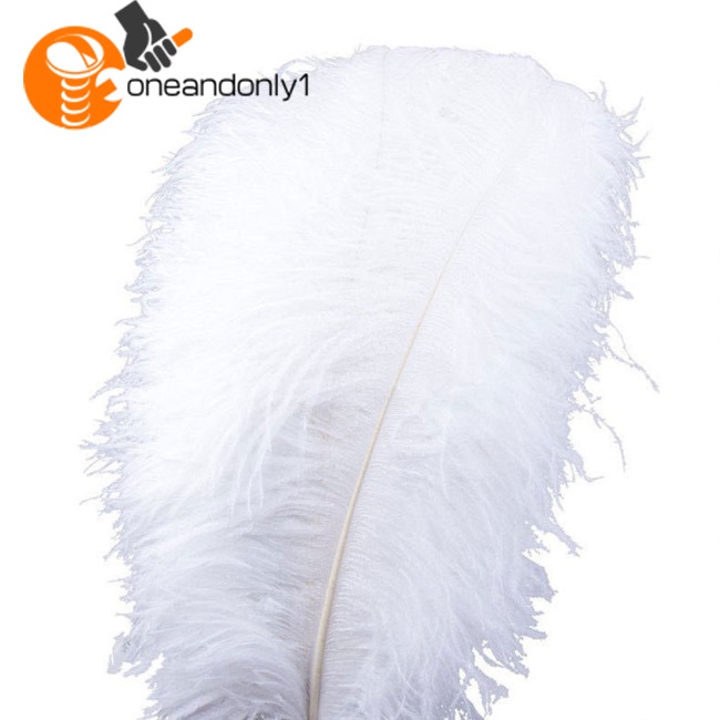 Bộ 100 Lông Đà Điểu 15-20cm Tự Nhiên Dùng Trang Trí Tiệc Cưới