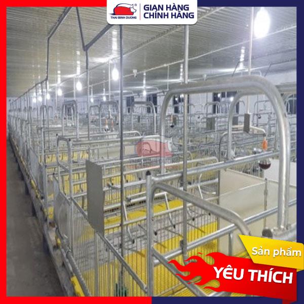 Sàn nhựa cho heo, chó mèo, thú cưng, gia súc, vật nuôi đa dạng kích thước - Tấm lót sàn, vỉ nhựa lót sàn trong chuồng
