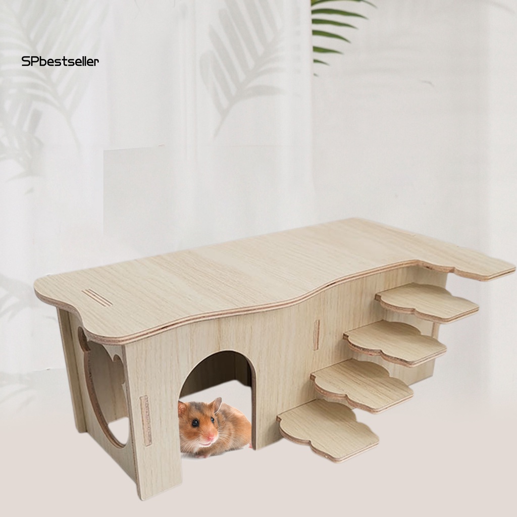 Thang Leo Bằng Gỗ Tự Nhiên Cho Chuột Hamster