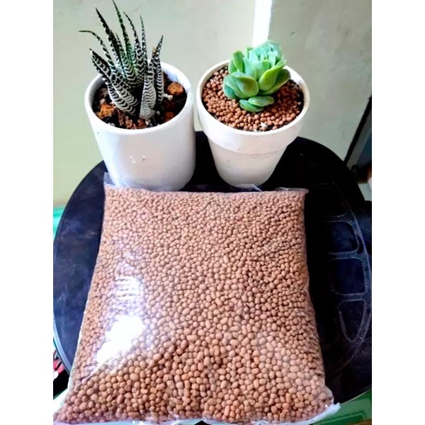 Hạt Đất Nung Lót chậu Popper - Làm hệ thống lọc nước, trồng sen đá, xương rồng, trồng lan, trồng cây sứ, thủy canh
