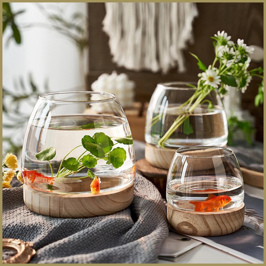 Bình Hoa Thủy Canh Trong Suốt Có Đế Sinh Thái Trang Trí Bể Cá paca3vn