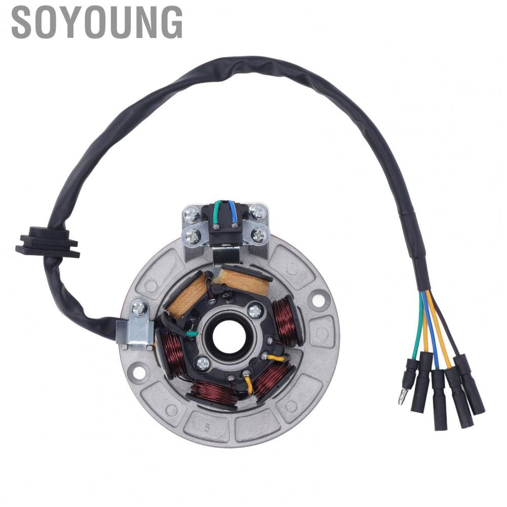 Soyoung Ignition Stator Rotor  Powerful Increase Intensity 75.10mm Coil Diameter 100.19mm Mounting Hole Magneto Flywheel for Motorcycle