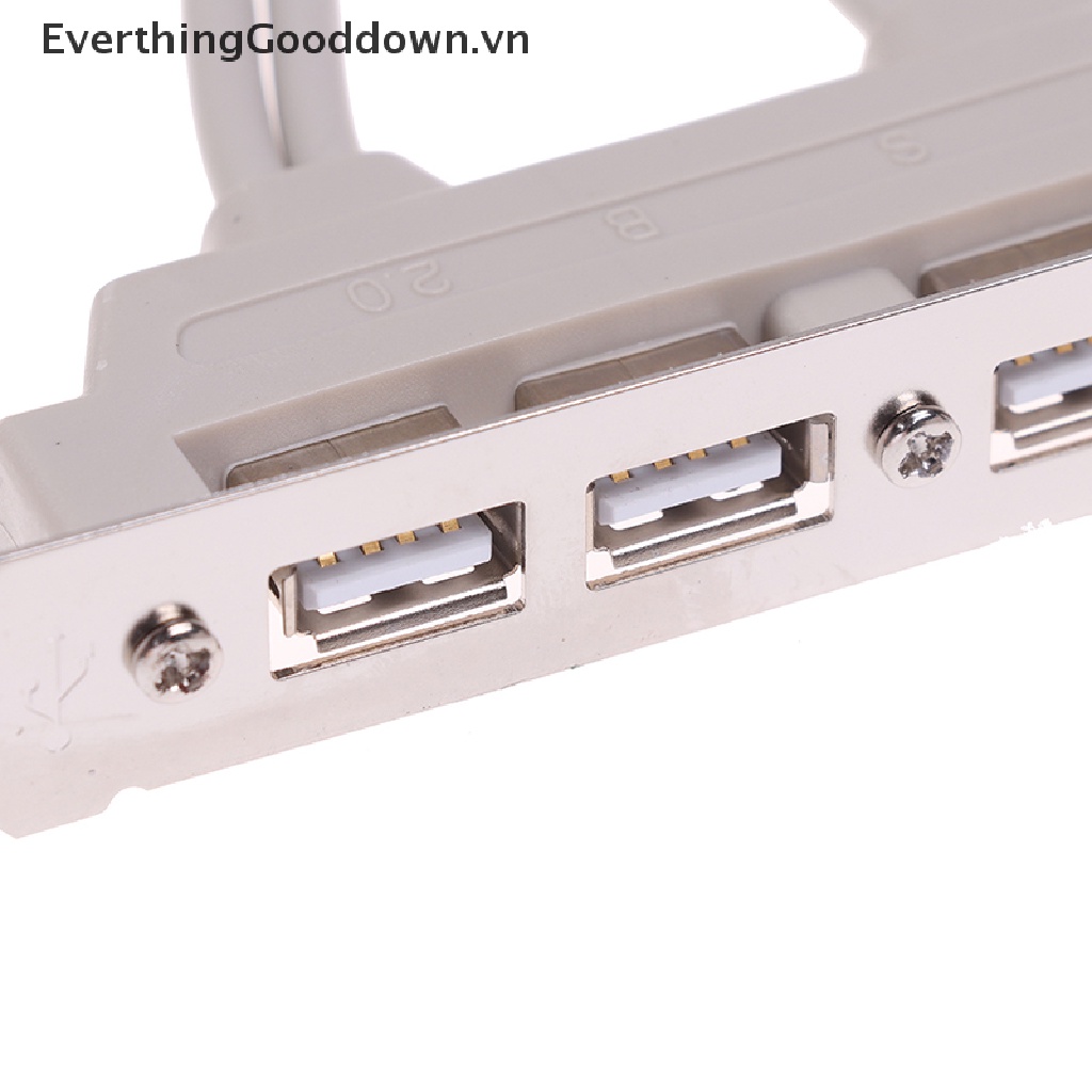Everthingood Cáp Mở Rộng 4 Cổng USB 2.0 Sang 9 Pin Cho Bảng Điều Khiển PC vn