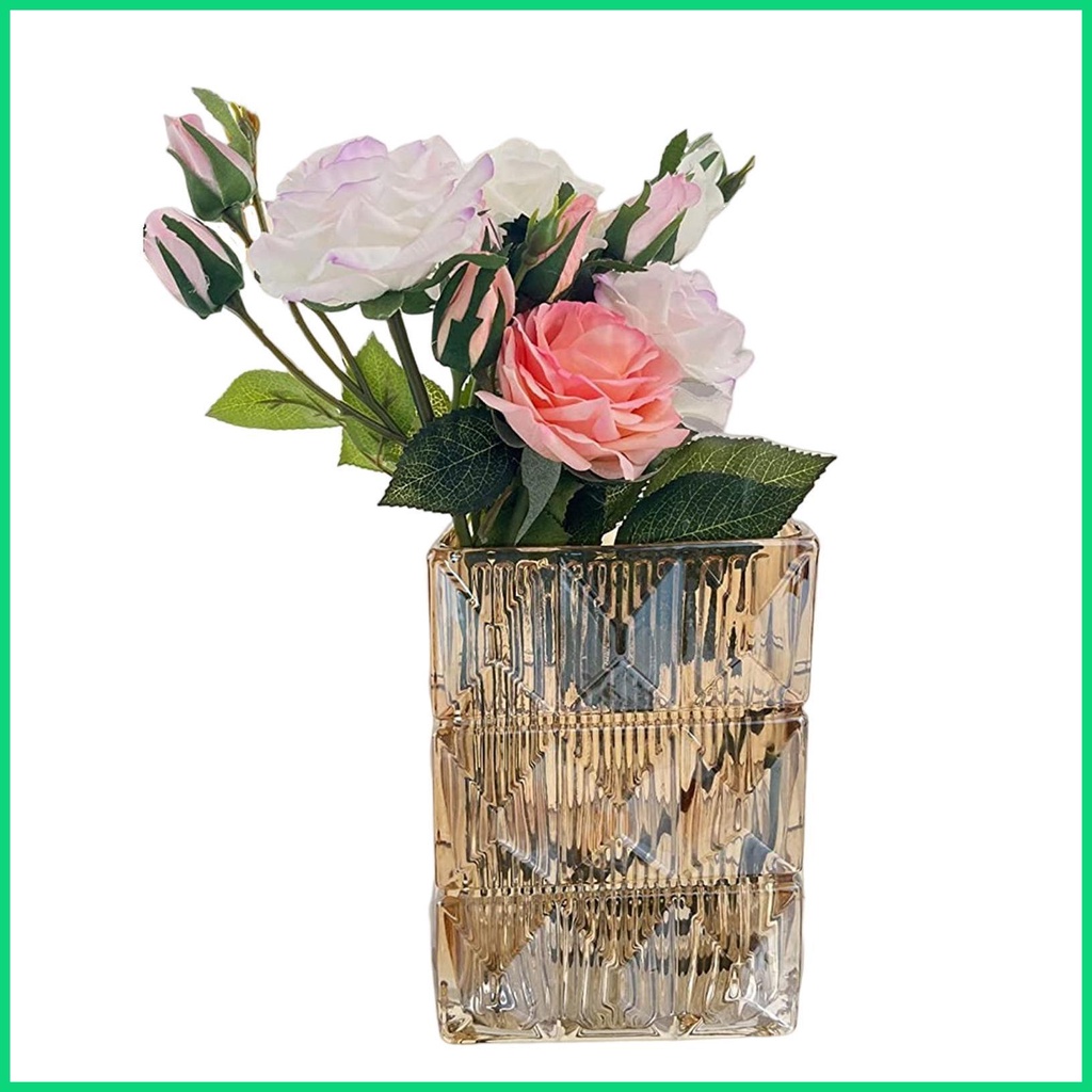 Kính Bình Hoa Thủy Tinh Trong Suốt 7.87 Inch Dùng Trang Trí Xinh Xắn