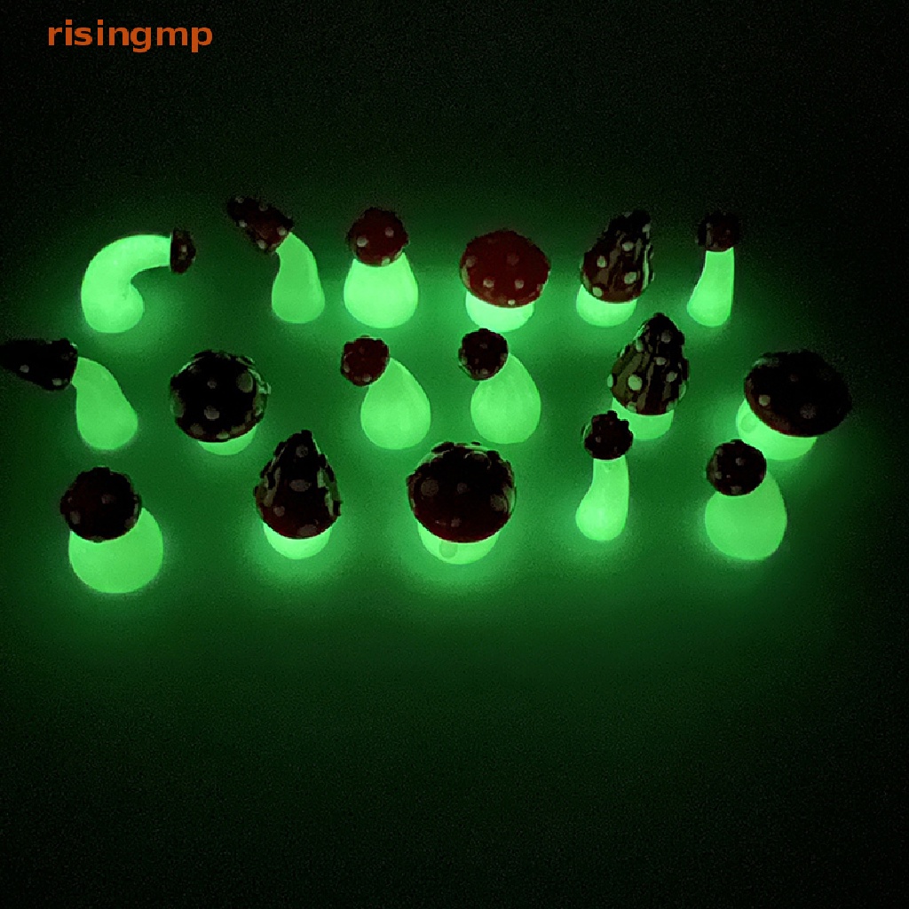 Set 2 Móc Khóa Hình Nấm Dạ Quang Mini Trang Trí Sân Vườn