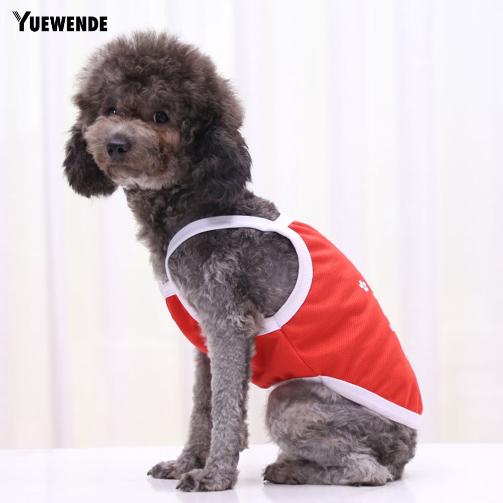 Áo Sát Nách Hình Quả Bơ / Khủng Long Dễ Thương Cho Thú Cưng