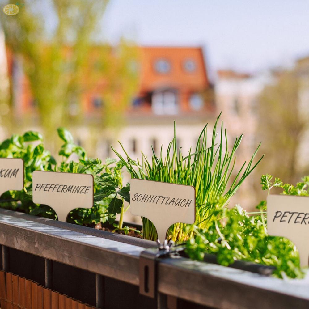 【VARSTR】Plant Labels Herbs Tools Important Markers Price Shop Wood Sign 10pcs Bamboo