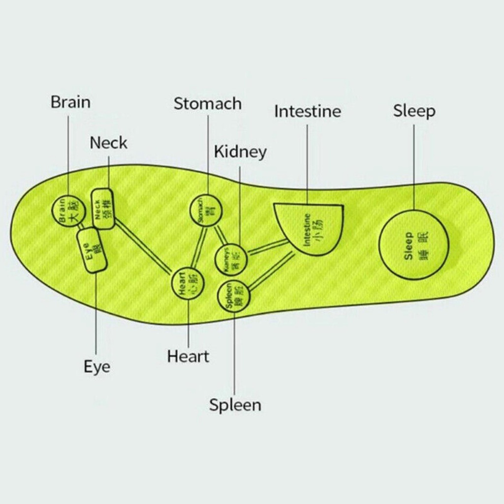 Miếng Lót Giày Mềm Mại Thấm Hút Thoáng Khí Chống Sốc W3B7