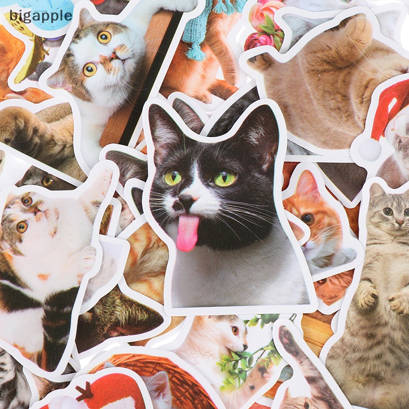 Bộ 50 Miếng Dán Họa Tiết Mèo Hoạt Hình Trang Trí Sổ Tay / Hành Lý / Xe Hơi