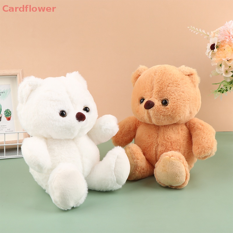 Gấu Nhồi Bông 22CM Đáng Yêu Cho Bé Mới