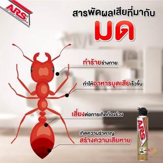 Bình xịt côn trùng ARS Jet Gold 800ml