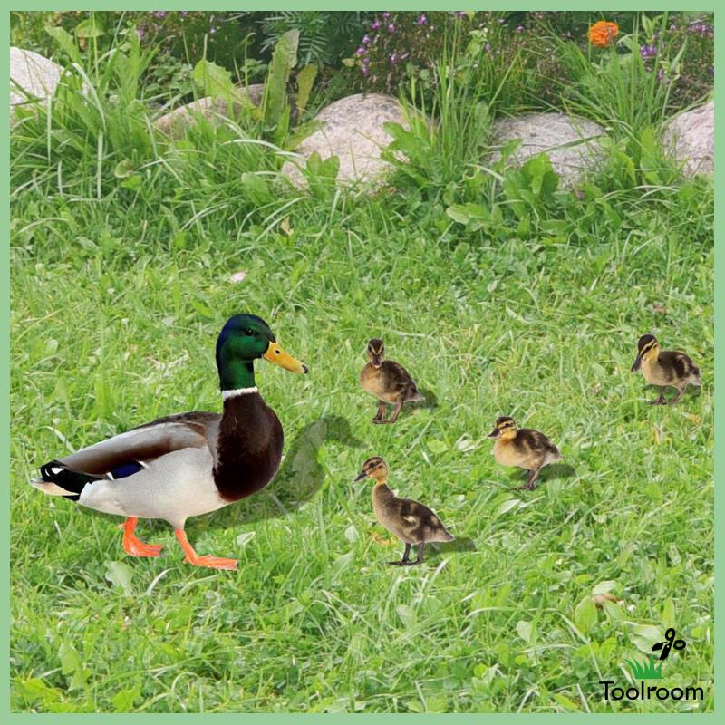 Set 5 Tượng Vịt Phẳng Điêu Khắc Trang Trí Lễ Phục Sinh