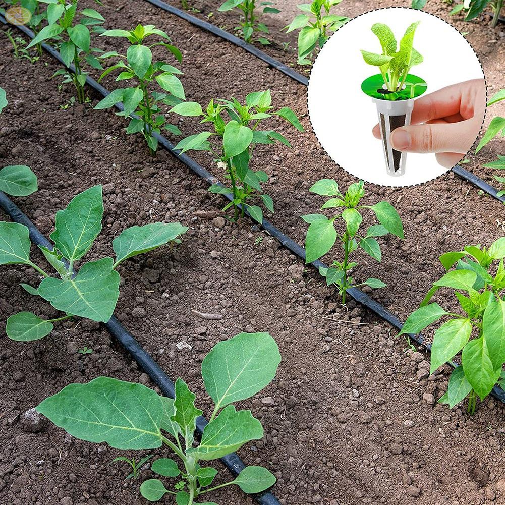 【VARSTR】Planting Basket Flowers For Grow Strawberries Indoor Plant Growing System
