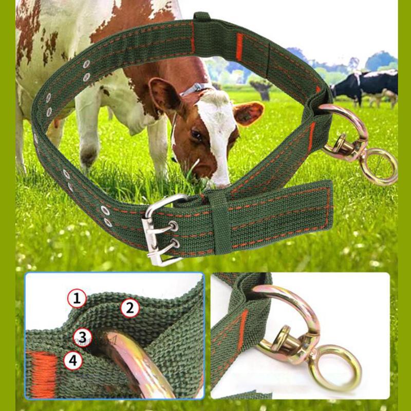 Vòng Cổ Cừu 2 Hàng Khóa Kim Loại Cho Lạc Đà Alpaca 1