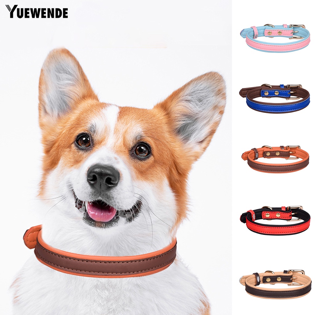 Vòng Cổ Chống Thất Lạc Màu Sắc Tương Phản Tùy Chỉnh Kích Thước Cho Thú Cưng