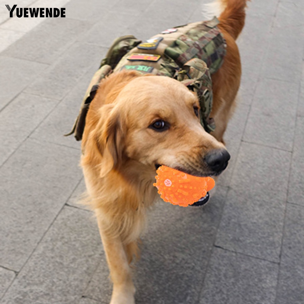 Yq.e Đồ Chơi Gặm Tương Tác Với Thiết Kế Hoạt Hình Dễ Thương Chống Tróc Có Tiếng Kêu Cho Thú Cưng