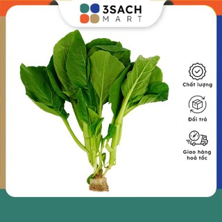 Cải Ngồng Thủy Canh - 300g/gói