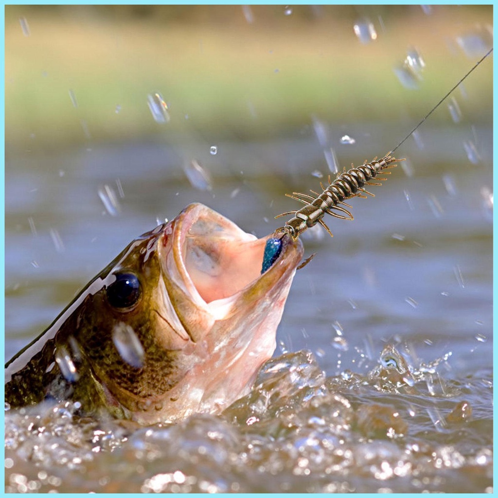 Set 8 / 20 Mồi Giả Nuốt Câu Cá Mềm Có Thể Tái Sử Dụng