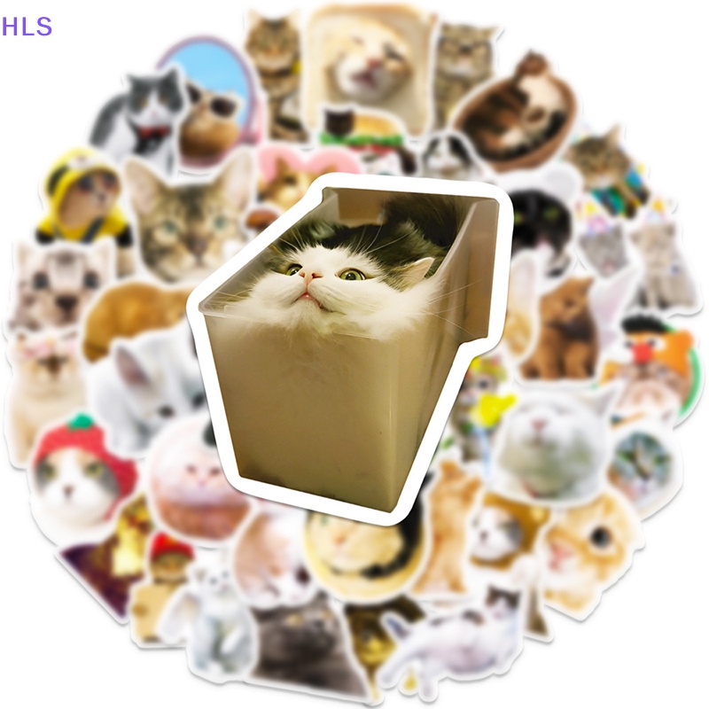 Bộ 50 Miếng Dán Hình Mèo Vui Nhộn Dùng Trang Trí Vali / Laptop / Tủ Lạnh DIY