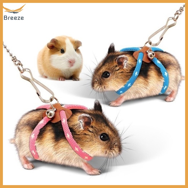 Dây Dắt Thú Cưng Đi Dạo Mềm Mại Chống Cắn Có Thể Điều Chỉnh Và Gắn Chuông Tiện Dụng