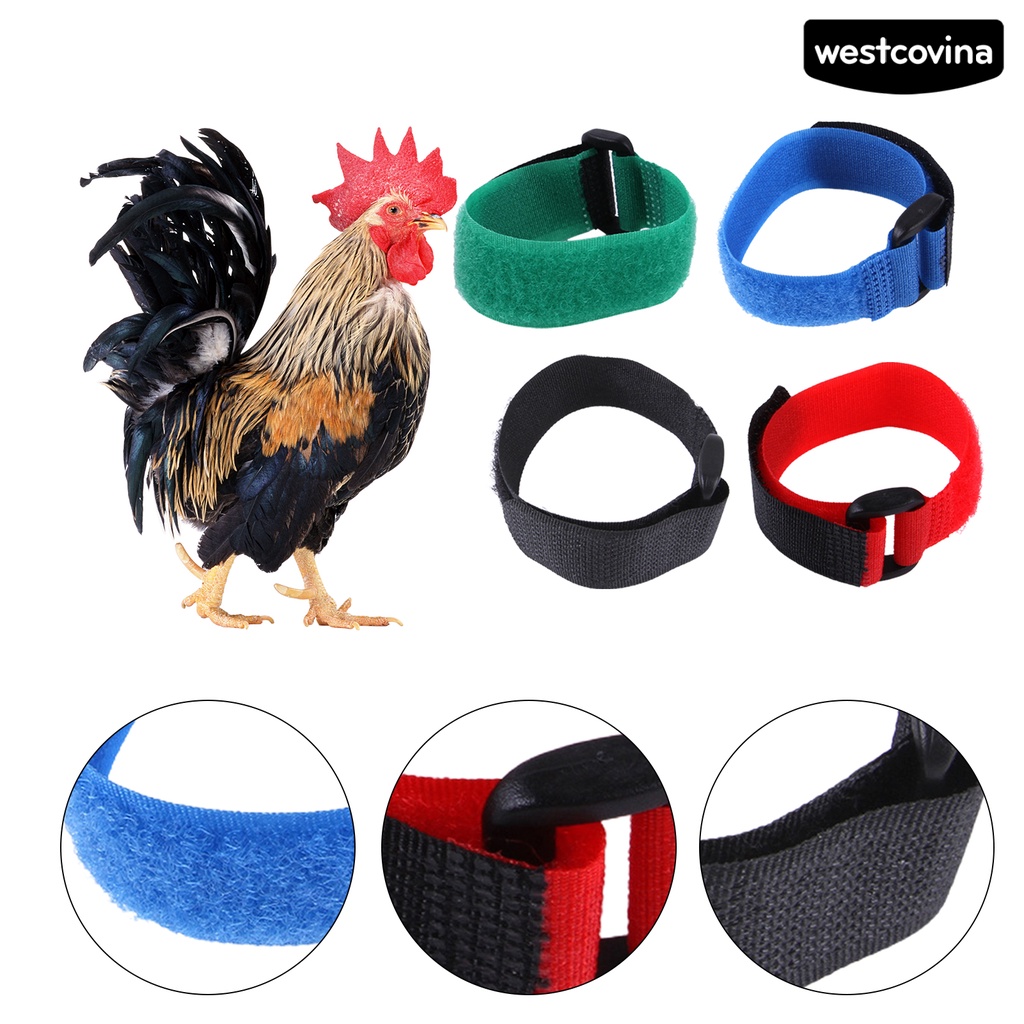 [COD]♞Set 2 Vòng Cổ Nylon Siêu Mềm Chống Mài Mòn Cho Gia Cầm Ngỗng